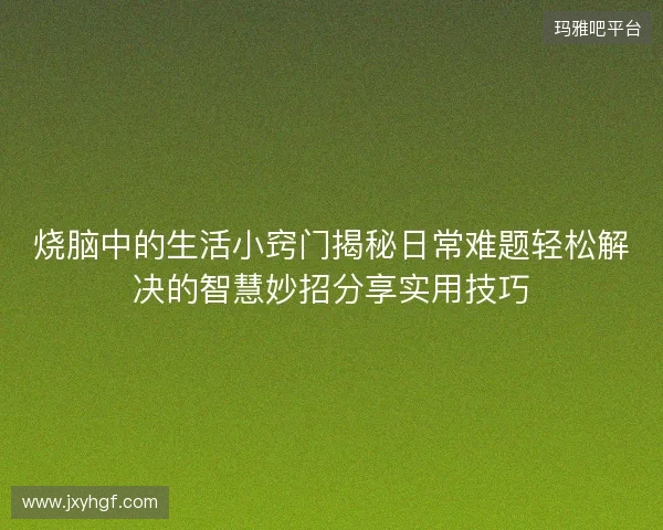 烧脑中的生活小窍门揭秘日常难题轻松解决的智慧妙招分享实用技巧